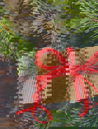 Pexels Monicore 1474961