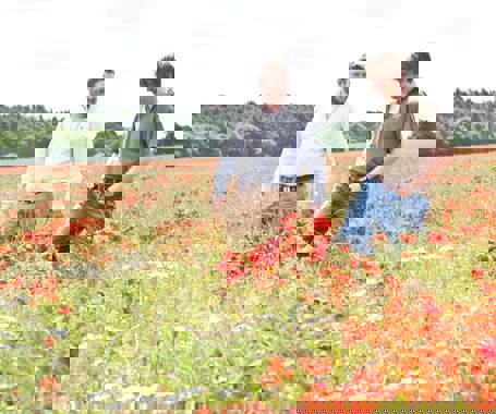 Rob & Alec Poppies