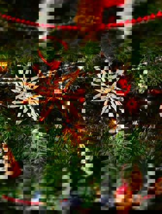 Pexels Est1307 250177