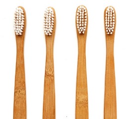 Bamboo toothbrushes 240
