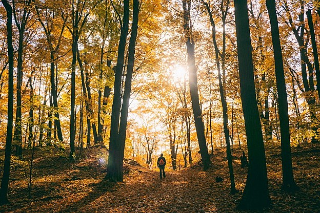 Our top places for an autumnal walk